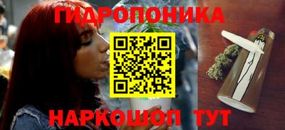 spice Кинель
