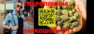 spice Кинель
